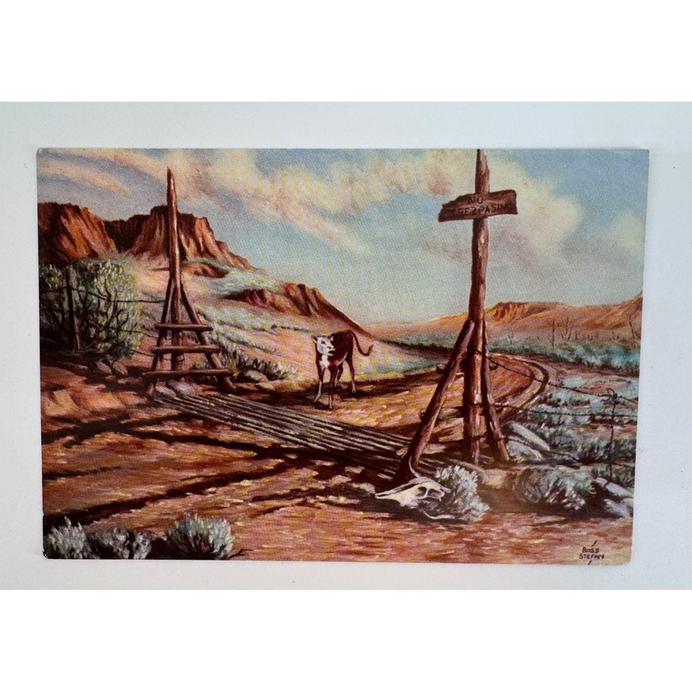 Lot 3 Ross Stefan 1948 Uncirculated Postcards A New Experience Good Scout Attack - Picture 13 of 15